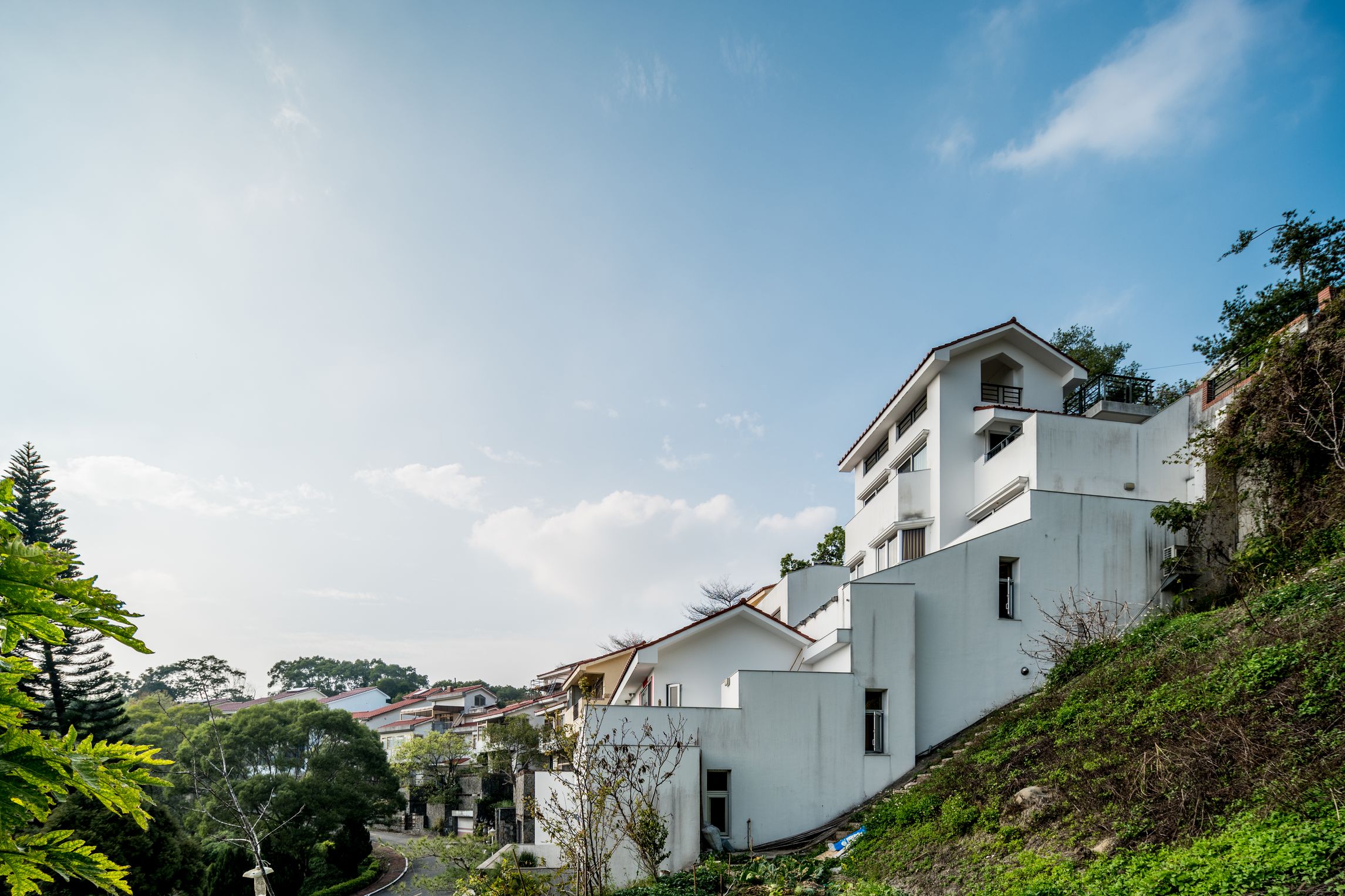 大坑張宅 0303-35_结果